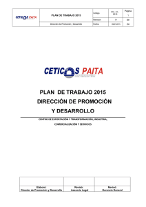 plan de trabajo 2015 dirección de promoción y desarrollo