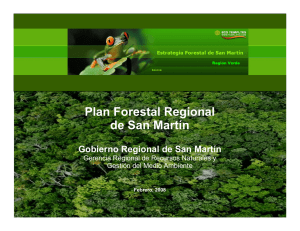 Plan Forestal Regional de San Martín