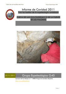 Informe de Cavidad 2011 Grupo Espeleológico G40