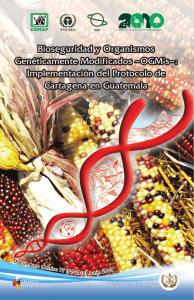 Bioseguridad y Organismos Genéticamente Modificados –OGM`s