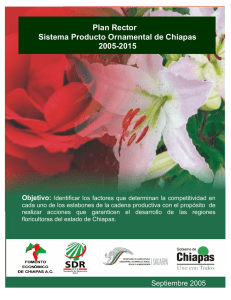 Plan Rector Sistema Producto Flores de Chiapas 2005