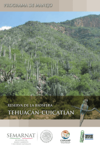 Reserva de la Biosfera Tehuacán-Cuicatlán