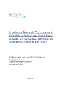 Estudio de Demanda Turística en el Valle del río Puelo/Lago Tagua