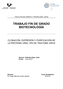 Clonación, expresión y purificación de la proteína viral VP4