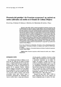 Presencia del patotipo 1 de Fusarium oxysporum f. sp. melonis en