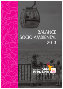 balance socio ambiental 2013