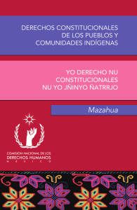 derechos constitucionales de los pueblos y comunidades indígenas