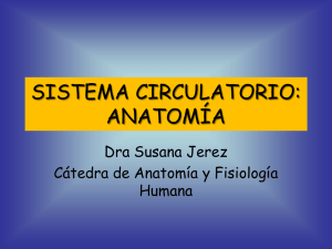 Dra Susana Jerez
