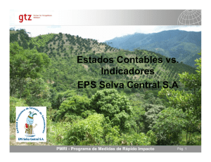 Estados Contables vs. Indicadores EPS Selva Central SA
