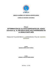 TÍTULO - Repositorio Digital de la UTMACH
