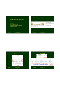 Tema 24: Introducción a la bioquímica 24.1 Estructura química de la