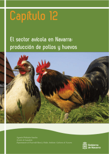 capítulo 12 - Sector avícola - Gobierno