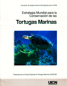 Tortugas Marinas - IUCN SSC Marine Turtle Specialist Group