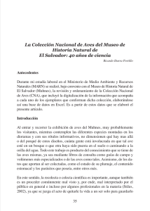 La Colección Nacional de Aves del Museo de Historia Natural de El