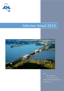 Informe Anual 2014