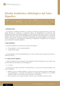 Estudio Anatomico-Histologico del Tubo Digestivo