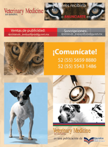 Veterinary Medicine en Español Diciembre 2010