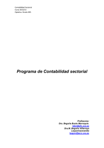 Programa de Contabilidad sectorial