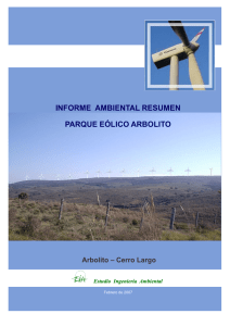 parque eólico arbolito informe ambiental resumen
