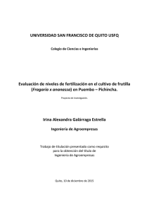 Fragaria x ananassa - Repositorio Digital USFQ