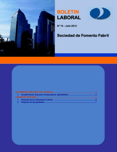 Boletín Laboral N° 74 – Año 2013