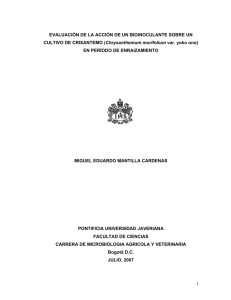 tabla de contenido - Pontificia Universidad Javeriana