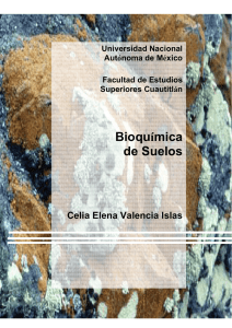 Bioquímica de Suelos - agricolaunam.org.mx