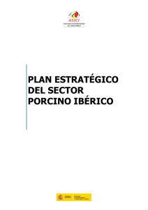plan estratégico del sector porcino ibérico