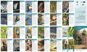Guía básica de fauna y flora de la Reserva Natural Cañaverosa