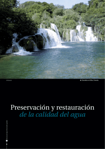 Preservación y restauración de la calidad del agua