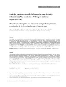 Bacterias halotolerantes/alcalofilas productoras