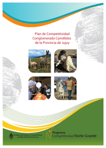 Plan de Competitividad de Camélidos de Jujuy