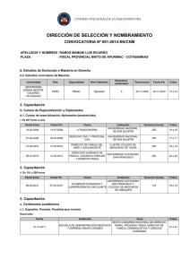 REPORTE DE CURRICULO VITAE - Consejo Nacional de la