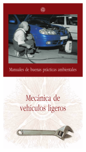 Mecánica de vehículos ligeros - Gobierno