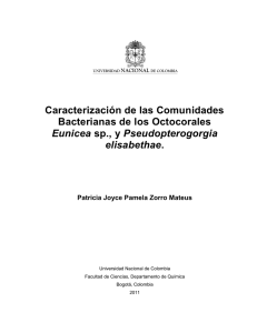 Caracterización de las Comunidades Bacterianas de los