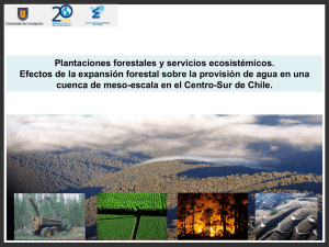 Plantaciones forestales y servicios ecosistémicos. Efectos de la