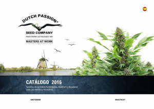 catálogo 2016 - Dutch Passion