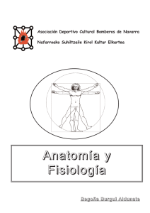 Anatomía y Fisiología 1953.56 KB