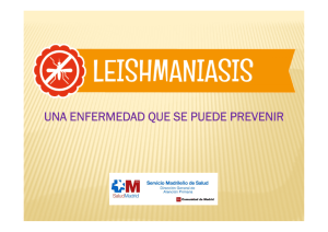 Prevencion de la Leishmaniasis
