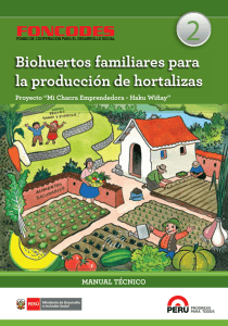 Biohuertos familiares para la producción de hortalizas