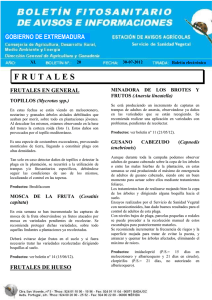 Boletín nº 20 - Gobierno de Extremadura