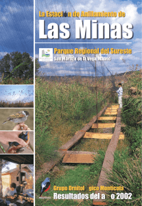 PDF Revista Las Minas