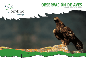 Birding en Sierra Salvada