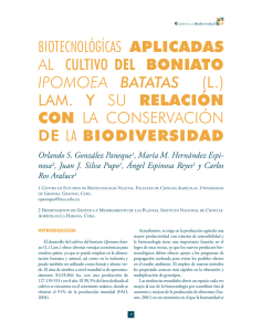 biotecnológícas aplicadas al cultivo del boniato ipomoea