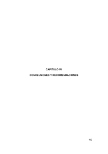 CAPITULO VII CONCLUSIONES Y RECOMENDACIONES