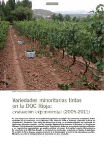 Variedades minoritarias tintas en la DOC Rioja: evaluación