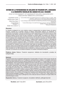 estudio de la patogenicidad de aislados de fusarium spp
