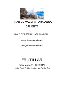 frutillar - Tinas de Madera