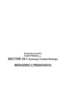 SECTOR 34.1 (Iva.nrey) Ciudad Rodrigo MEDICIONES Y