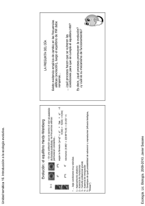 EvoluciEvoluci óó n: el equilibrio Hardyn: el equilibrio Hardy